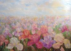 field-of-irises-oil.jpg